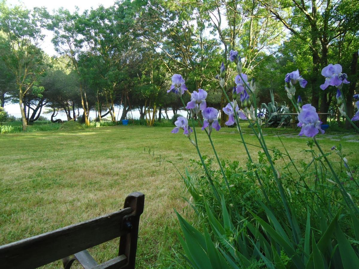 Bed and Breakfast Au bord de Thau Marseillan  Exterior foto