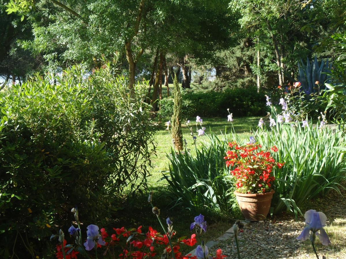 Bed and Breakfast Au bord de Thau Marseillan  Exterior foto