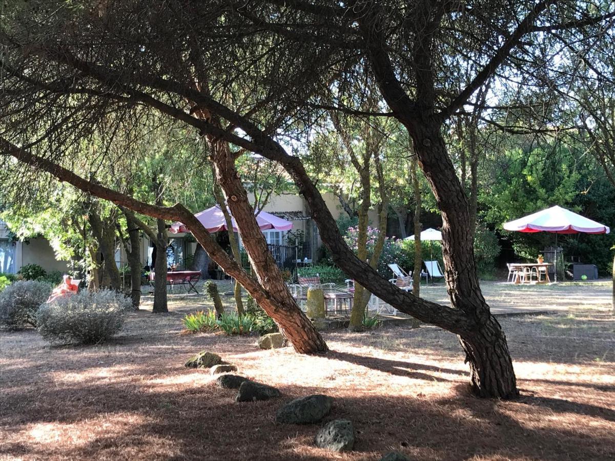 Bed and Breakfast Au bord de Thau Marseillan  Exterior foto