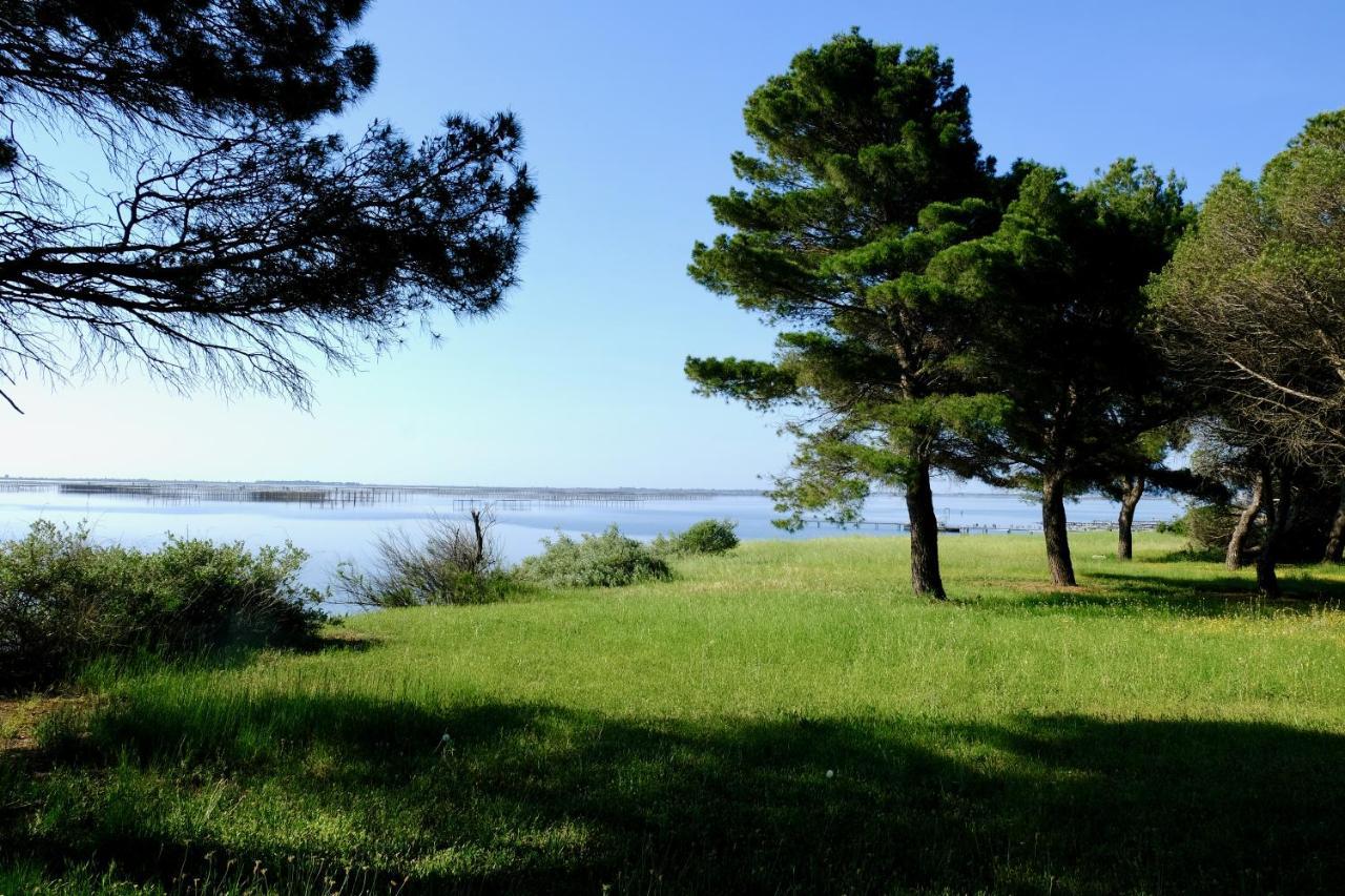 Bed and Breakfast Au bord de Thau Marseillan  Exterior foto